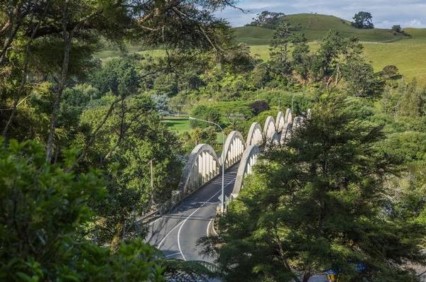 Wings for Life World Run New Zealand track